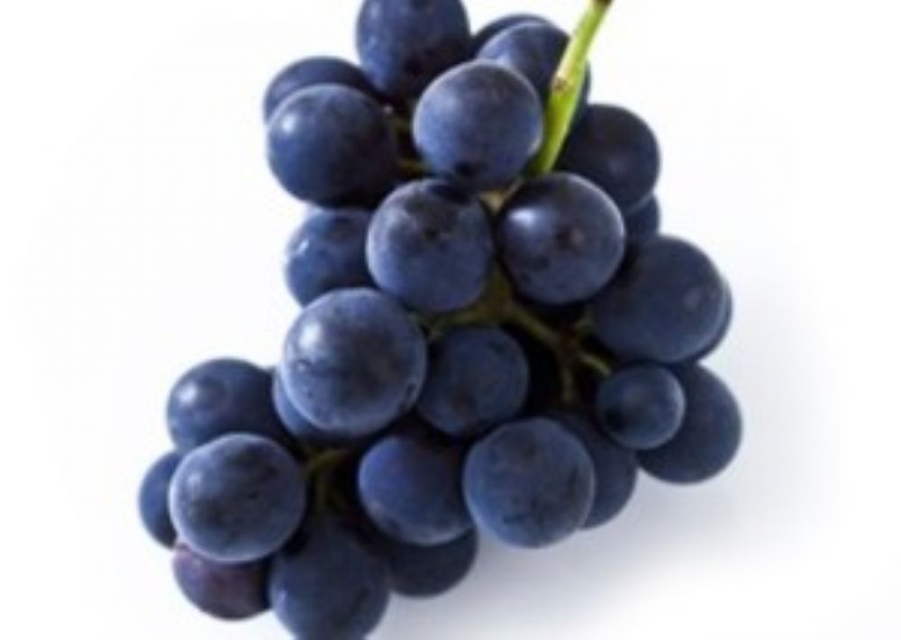    Grape Seed Extract      .