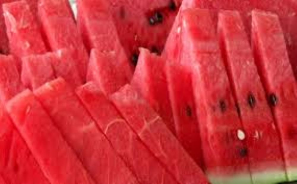 البطيخ الرقي او الحبحب فاكهة الصيف بلا منازع وسحور الصائمين في رمضان الطب العربي البديل