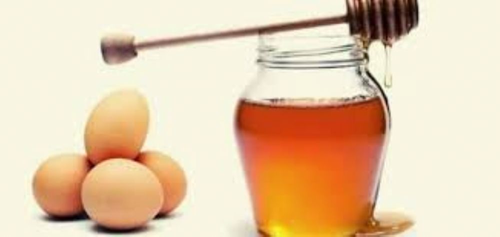 فوائد البيض والعسل للشعر وبعض الوصفات .