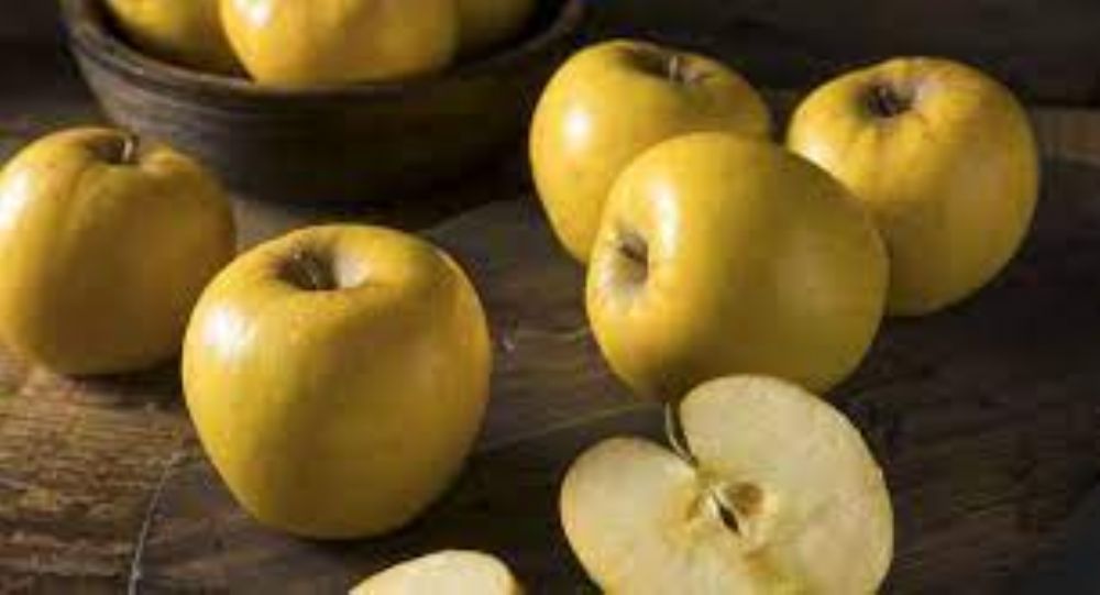 فوائد التفاح الأصفر للصحة والجسم تعرفوا اليها .